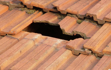 roof repair Little Blencow, Cumbria